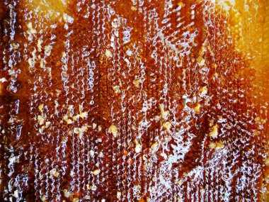 Tema doğal bal için soyut fotoğraf.