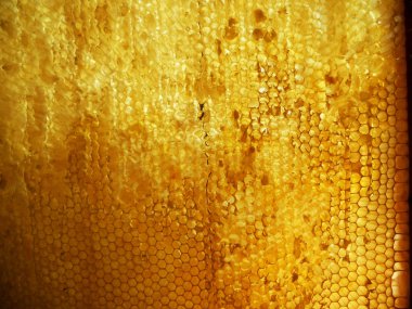 Tema doğal bal için soyut fotoğraf.