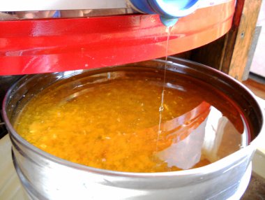 Tema doğal bal için soyut fotoğraf.