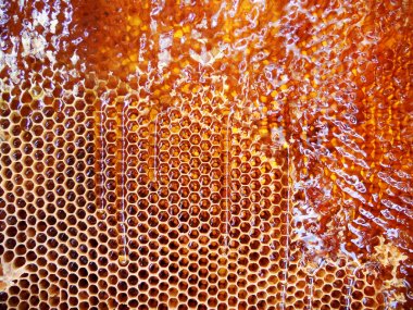 Tema doğal bal için soyut fotoğraf.