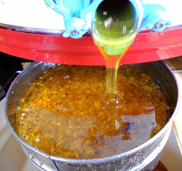 Tema doğal bal için soyut fotoğraf.