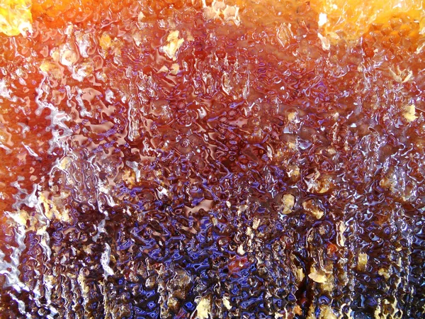 Tema doğal bal için soyut fotoğraf.