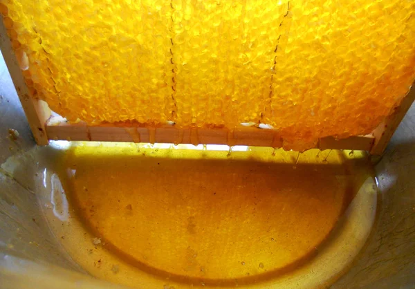 Tema doğal bal için soyut fotoğraf.