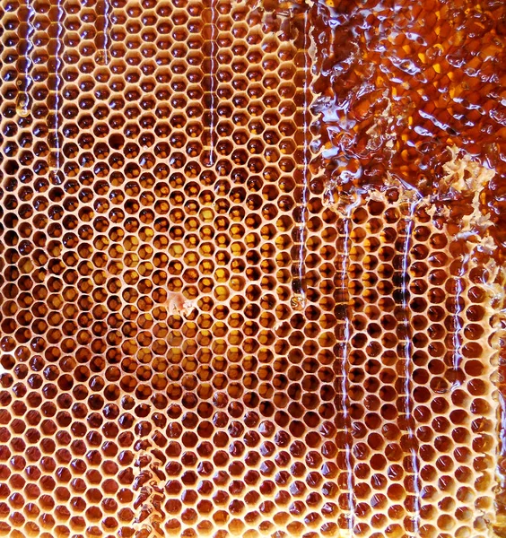 Tema doğal bal için soyut fotoğraf