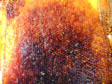 Tema doğal petek için soyut fotoğraf