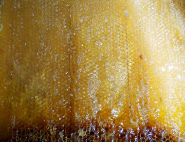 Tema doğal petek için soyut fotoğraf