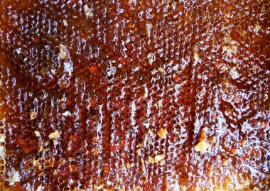 Tema doğal petek için soyut fotoğraf