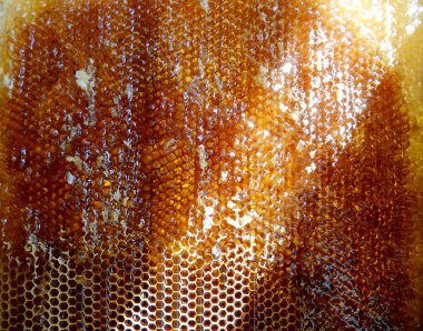 Tema doğal petek için soyut fotoğraf