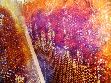 Tema doğal petek için soyut fotoğraf