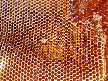 Tema doğal petek için soyut fotoğraf