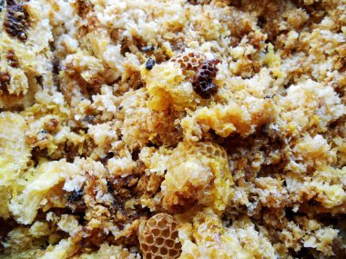 Tema doğal petek için soyut fotoğraf