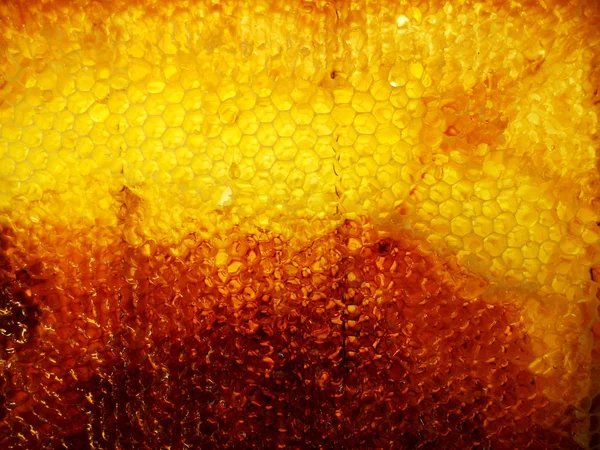 Tema doğal petek için soyut fotoğraf