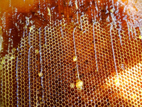 Tema doğal petek için soyut fotoğraf
