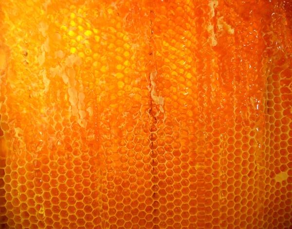 Tema doğal petek için soyut fotoğraf