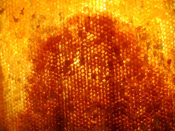 Tema doğal petek için soyut fotoğraf