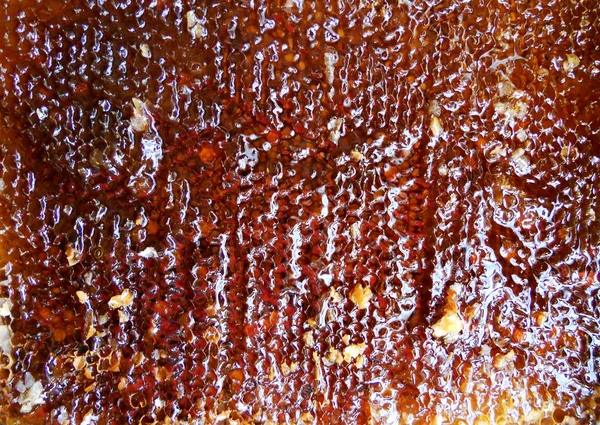 Tema doğal petek için soyut fotoğraf