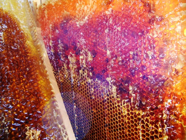 Tema doğal petek için soyut fotoğraf