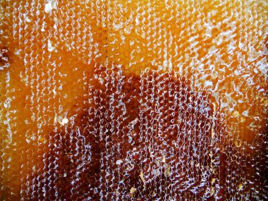 Fotoğraf gösterileri: arı kovanı, tatlım nektar, kovan kanatlı oğul arı, petek, balmumu, özel arı kovanı, arıcı, balmumu. Arı kovanı bal beeswaxes, peteğin, arıcılar için. Apiculture kovan petek oluşur.