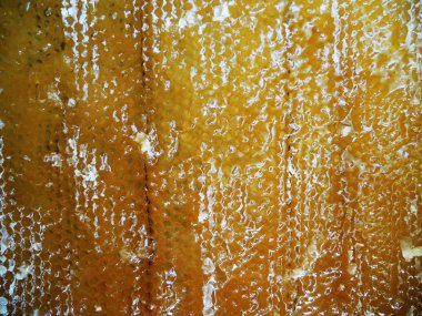 Fotoğraf gösterileri: arı kovanı, tatlım nektar, kovan kanatlı oğul arı, petek, balmumu, özel arı kovanı, arıcı, balmumu. Arı kovanı bal beeswaxes, peteğin, arıcılar için. Apiculture kovan petek oluşur.