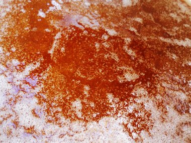 Fotoğraf gösterileri: arı kovanı, tatlım nektar, kovan kanatlı oğul arı, petek, balmumu, özel arı kovanı, arıcı, balmumu. Arı kovanı bal beeswaxes, peteğin, arıcılar için. Apiculture kovan petek oluşur.