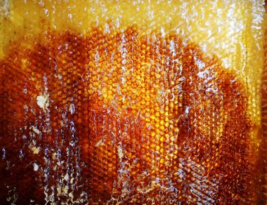 Fotoğraf gösterileri: arı kovanı, tatlım nektar, kovan kanatlı oğul arı, petek, balmumu, özel arı kovanı, arıcı, balmumu. Arı kovanı bal beeswaxes, peteğin, arıcılar için. Apiculture kovan petek oluşur.