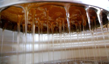 Fotoğraf gösterileri: arı kovanı, tatlım nektar, kovan kanatlı oğul arı, petek, balmumu, özel arı kovanı, arıcı, balmumu. Arı kovanı bal beeswaxes, peteğin, arıcılar için. Apiculture kovan petek oluşur.