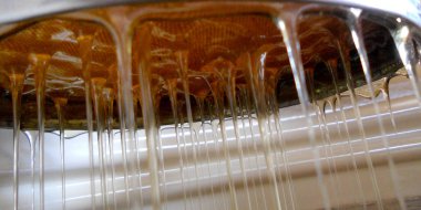 Fotoğraf gösterileri: arı kovanı, tatlım nektar, kovan kanatlı oğul arı, petek, balmumu, özel arı kovanı, arıcı, balmumu. Arı kovanı bal beeswaxes, peteğin, arıcılar için. Apiculture kovan petek oluşur.