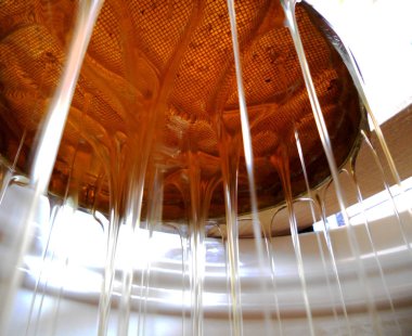 Tema doğal bal için soyut fotoğraf