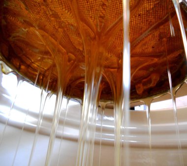 Fotoğraf gösterileri: arı kovanı, tatlım nektar, kovan kanatlı oğul arı, petek, balmumu, özel arı kovanı, arıcı, balmumu. Arı kovanı bal beeswaxes, peteğin, arıcılar için. Apiculture kovan petek oluşur.