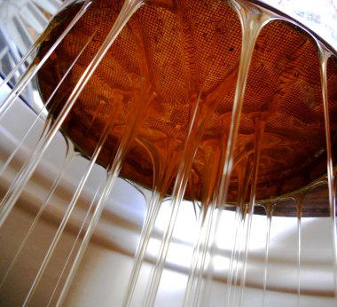 Fotoğraf gösterileri: arı kovanı, tatlım nektar, kovan kanatlı oğul arı, petek, balmumu, özel arı kovanı, arıcı, balmumu. Arı kovanı bal beeswaxes, peteğin, arıcılar için. Apiculture kovan petek oluşur.