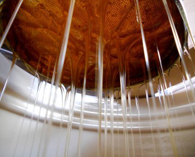 Tema doğal bal için soyut fotoğraf