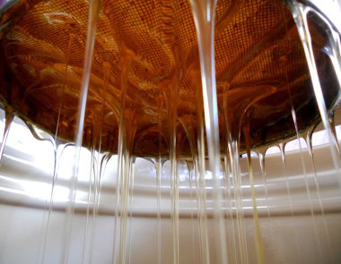 Fotoğraf gösterileri: arı kovanı, tatlım nektar, kovan kanatlı oğul arı, petek, balmumu, özel arı kovanı, arıcı, balmumu. Arı kovanı bal beeswaxes, peteğin, arıcılar için. Apiculture kovan petek oluşur.