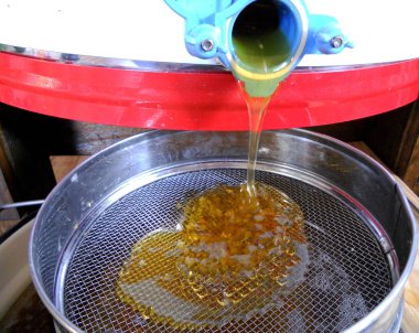 Tema doğal bal için soyut fotoğraf