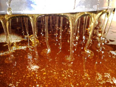 Fotoğraf gösterileri: arı kovanı, tatlım nektar, kovan kanatlı oğul arı, petek, balmumu, özel arı kovanı, arıcı, balmumu. Arı kovanı bal beeswaxes, peteğin, arıcılar için. Apiculture kovan petek oluşur.