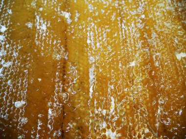 Fotoğraf gösterileri: arı kovanı, tatlım nektar, kovan kanatlı oğul arı, petek, balmumu, özel arı kovanı, arıcı, balmumu. Arı kovanı bal beeswaxes, peteğin, arıcılar için. Apiculture kovan petek oluşur.