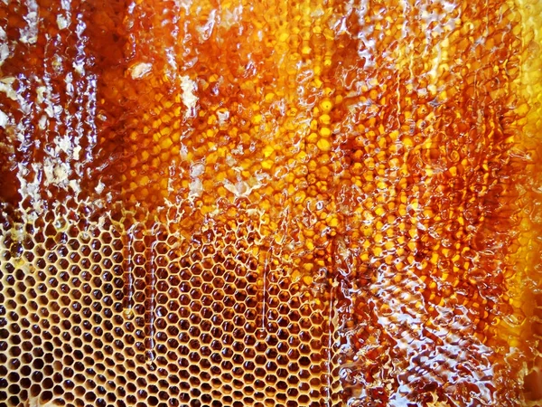 Das Foto Zeigt Bienenstock Honignektar Bienenschwarm Geflügelte Biene Wabe Wachs — Stockfoto