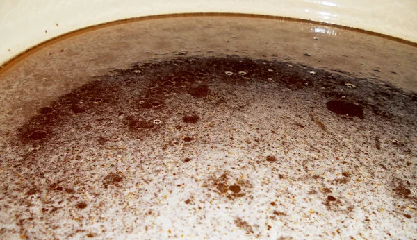 Fotoğraf gösterileri: arı kovanı, tatlım nektar, kovan kanatlı oğul arı, petek, balmumu, özel arı kovanı, arıcı, balmumu. Arı kovanı bal beeswaxes, peteğin, arıcılar için. Apiculture kovan petek oluşur.