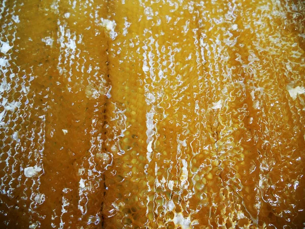 Fotoğraf gösterileri: arı kovanı, tatlım nektar, kovan kanatlı oğul arı, petek, balmumu, özel arı kovanı, arıcı, balmumu. Arı kovanı bal beeswaxes, peteğin, arıcılar için. Apiculture kovan petek oluşur.