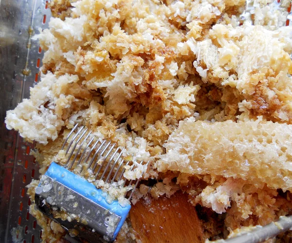 Fotoğraf gösterileri: arı kovanı, tatlım nektar, kovan kanatlı oğul arı, petek, balmumu, özel arı kovanı, arıcı, balmumu. Arı kovanı bal beeswaxes, peteğin, arıcılar için. Apiculture kovan petek oluşur.