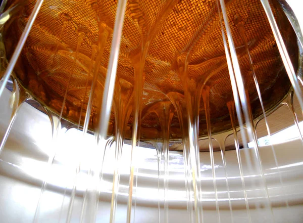 Fotoğraf gösterileri: arı kovanı, tatlım nektar, kovan kanatlı oğul arı, petek, balmumu, özel arı kovanı, arıcı, balmumu. Arı kovanı bal beeswaxes, peteğin, arıcılar için. Apiculture kovan petek oluşur.