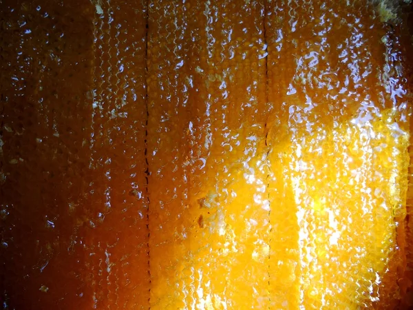 Fotoğraf gösterileri: arı kovanı, tatlım nektar, kovan kanatlı oğul arı, petek, balmumu, özel arı kovanı, arıcı, balmumu. Arı kovanı bal beeswaxes, peteğin, arıcılar için. Apiculture kovan petek oluşur.