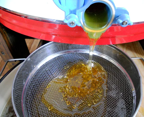 Fotoğraf gösterileri: arı kovanı, tatlım nektar, kovan kanatlı oğul arı, petek, balmumu, özel arı kovanı, arıcı, balmumu. Arı kovanı bal beeswaxes, peteğin, arıcılar için. Apiculture kovan petek oluşur.