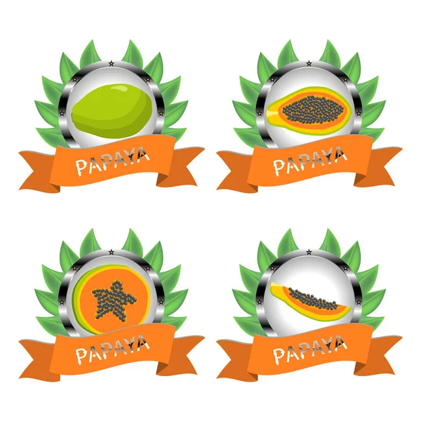 Logotipo de ilustración de vector abstracto papaya fruta madura entera — Vector de stock