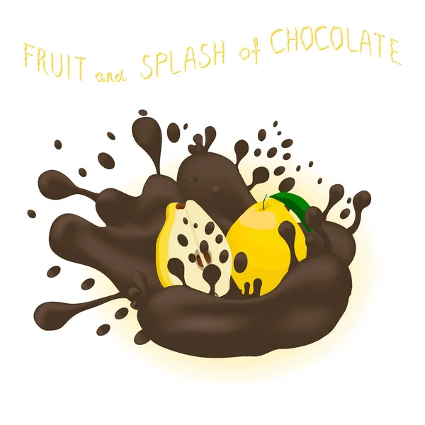 Olgun Egzotik Meyve Ayva Kahverengi Bırakma Çikolata Sıçrama Için Vektör — Stok Vektör