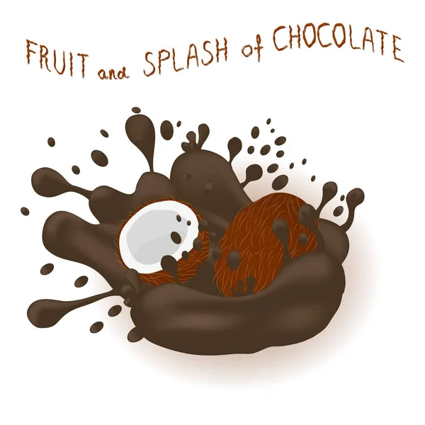 Vektorové Ikony Obrázek Logo Pro Exotické Ovoce Ořechů Kokos Úvodní — Stockový vektor