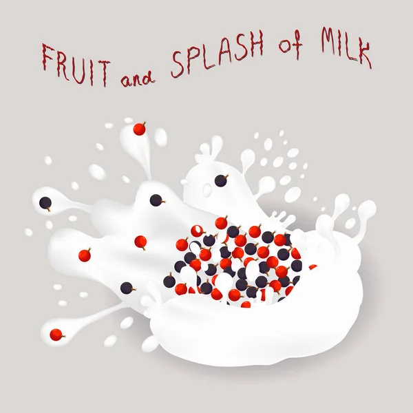 熟したベリー赤スグリ ドロップ白牛乳のスプラッシュの抽象的なベクトル アイコン イラスト スグリのパターンから成る滴り流れ液体ミルクが跳ねます ミルクの甘い果実黒スグリを食べる — ストックベクタ