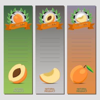 Vektör çizim için olgunlaşmış meyve sarı kayısı