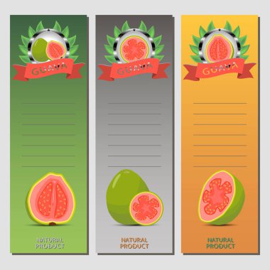 Vektör çizim için olgunlaşmış meyve yeşil guava