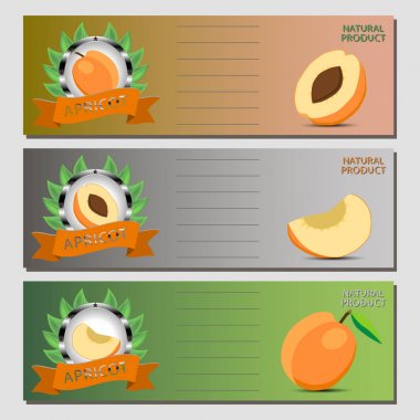 Vektör çizim için olgunlaşmış meyve sarı kayısı