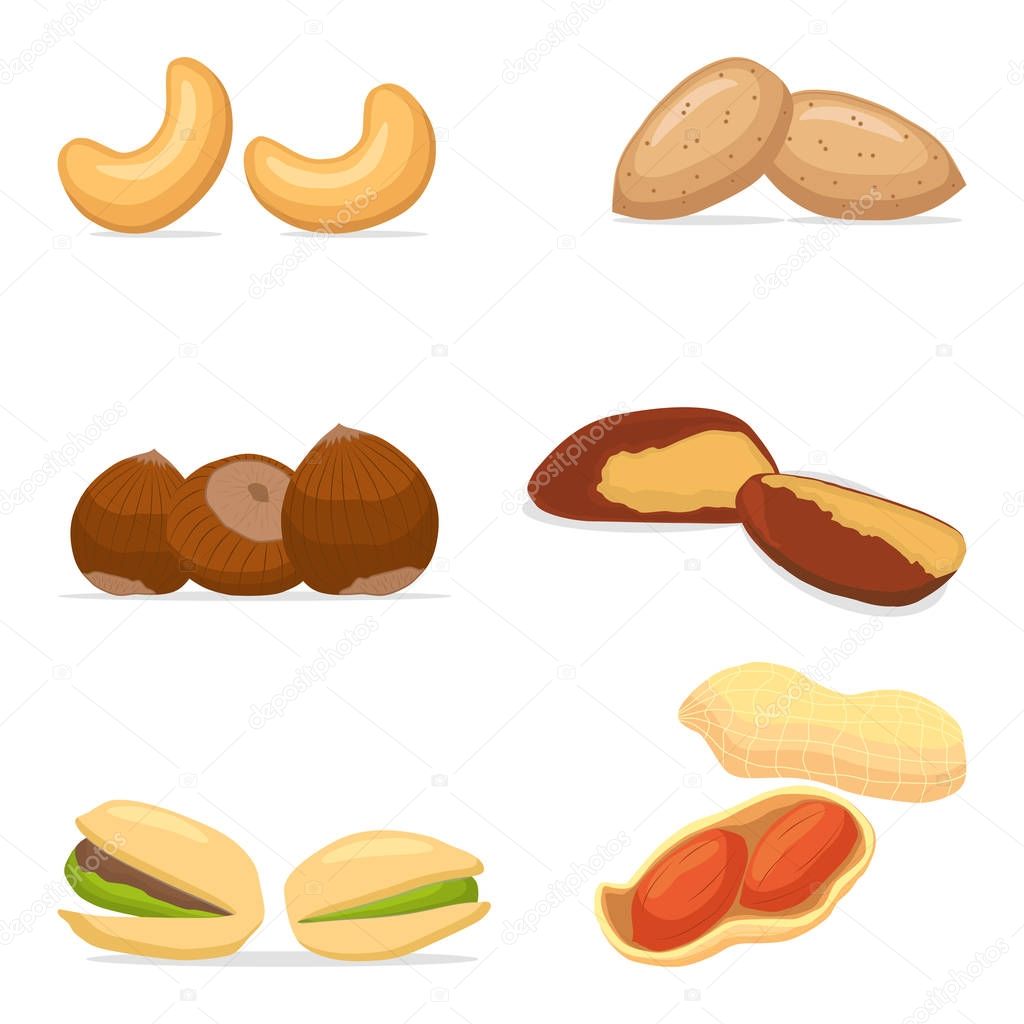 Vector illustration logo for cashew, hazelnut, brazil nut, pistachio, peanut, coconut, almond. Nut consisting of nutley,nutshell.Eat cashews,hazelnuts,brazil nuts, pistachios,peanuts,coconuts,almonds.